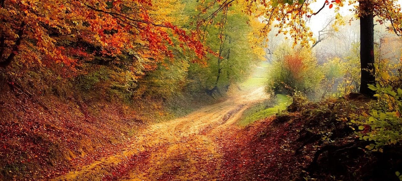 HÃ¶stlÃ¶v 1200 700 (3).jpg